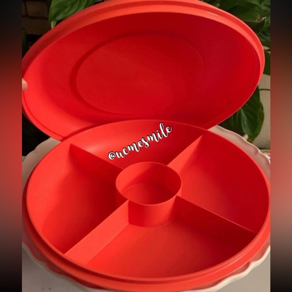 Tupperware Vegetable Snack Tray - Picture 4 of 5